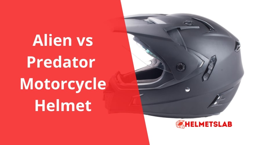 Alien vs Predator Motorcycle Helmet